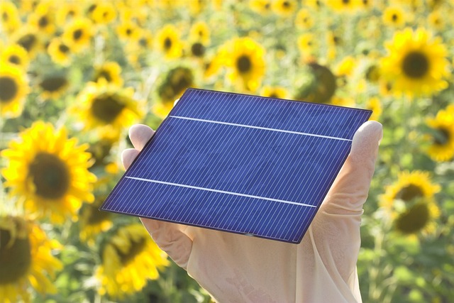 Myter Og Fakta Om Solenergi